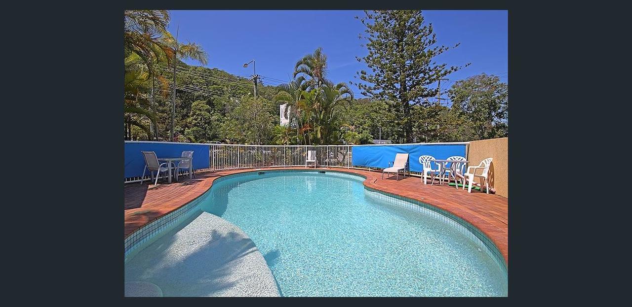Koala Cove Holiday Apartments Guldkusten Exteriör bild